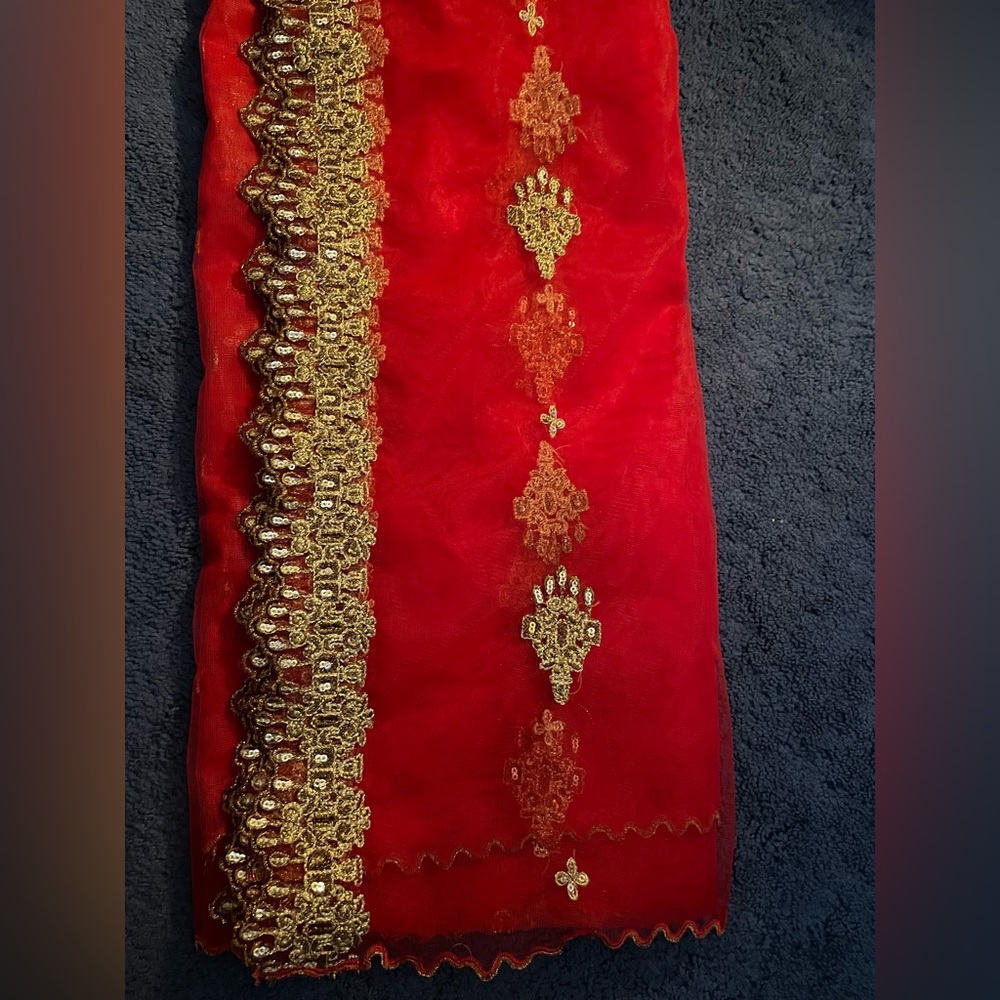 Embroidered net and organza dupattas NEW